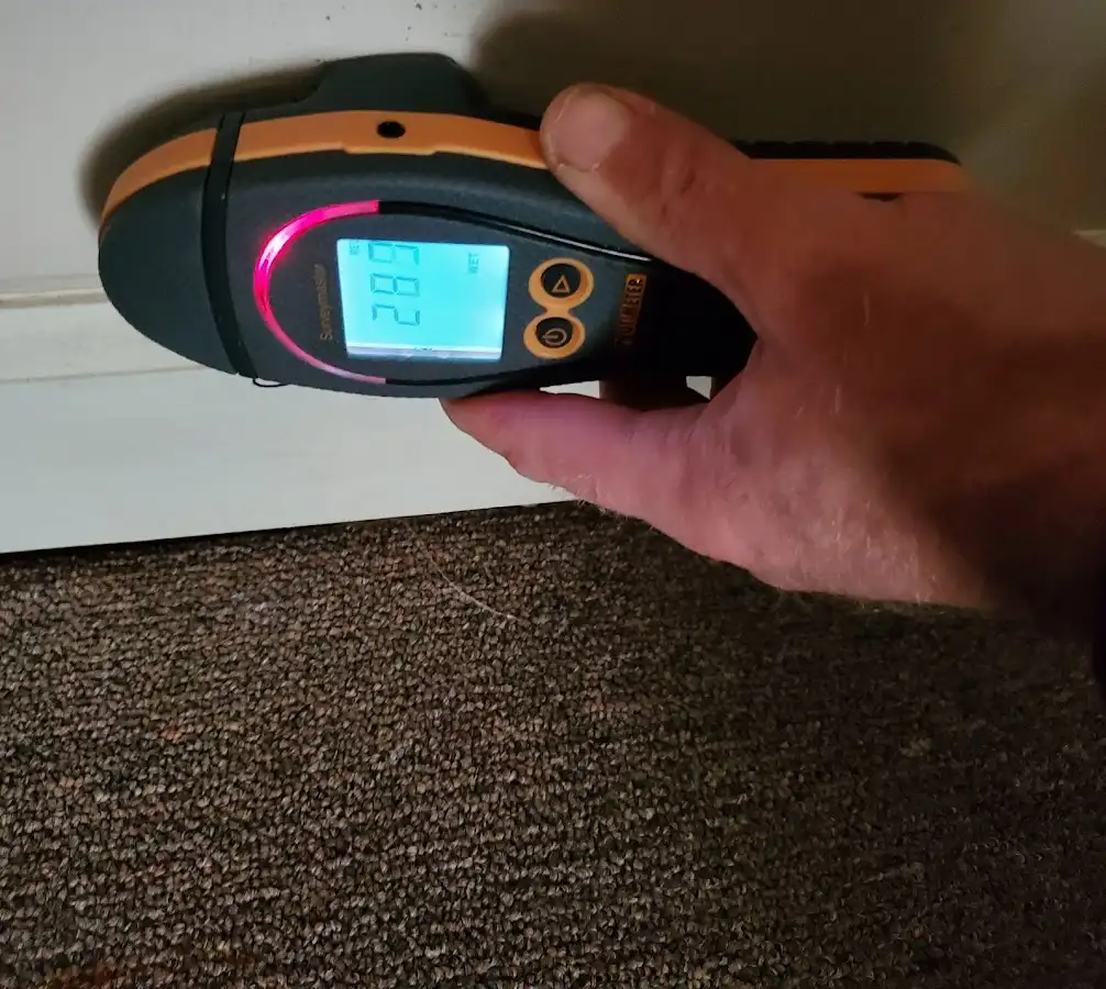 Moisture detection at baseboard during Sewage Cleanup & Sanitation in Silver Spring